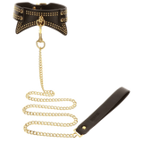 Studded Collar and Leash